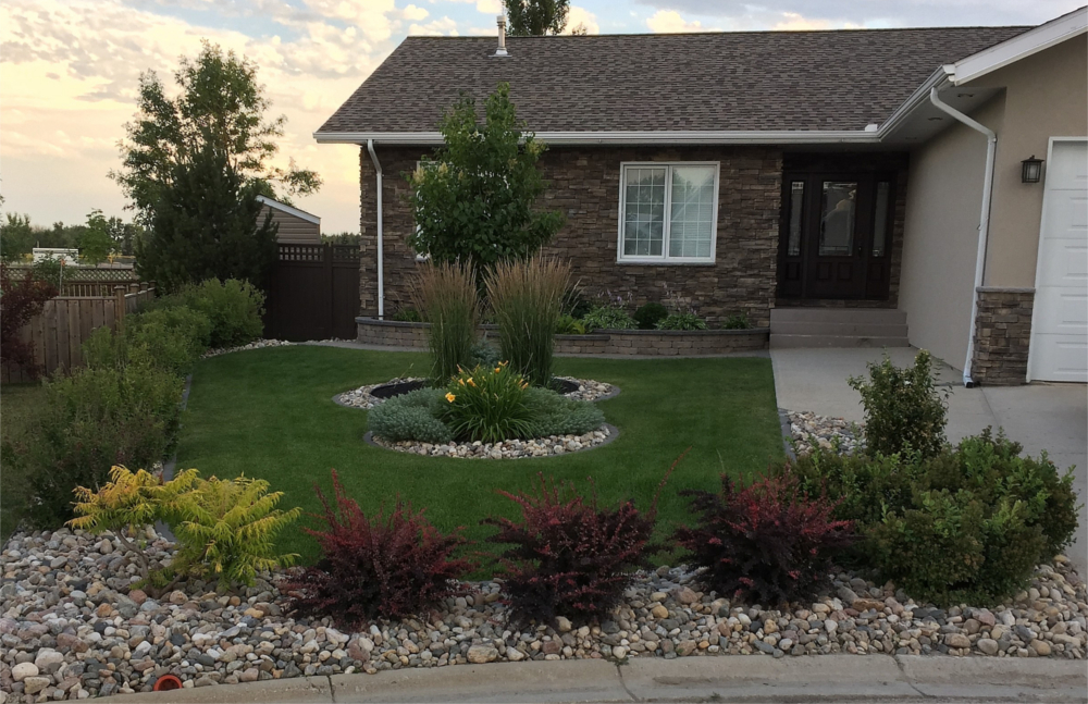 softscaping gallery: sod grass trees shrubs plants